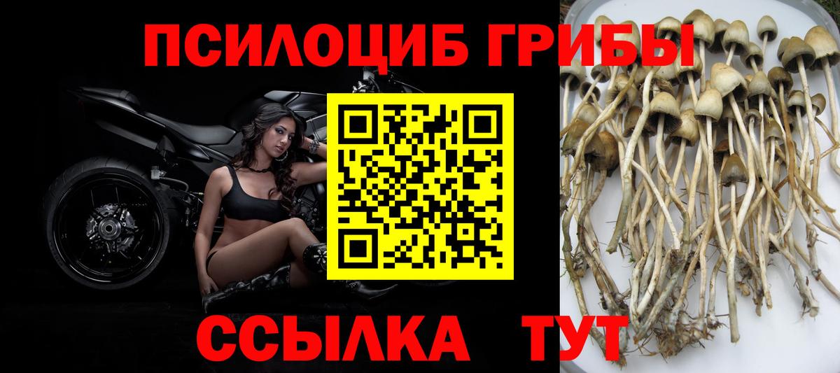 Галлюциногенные грибы прущие грибы Луховицы